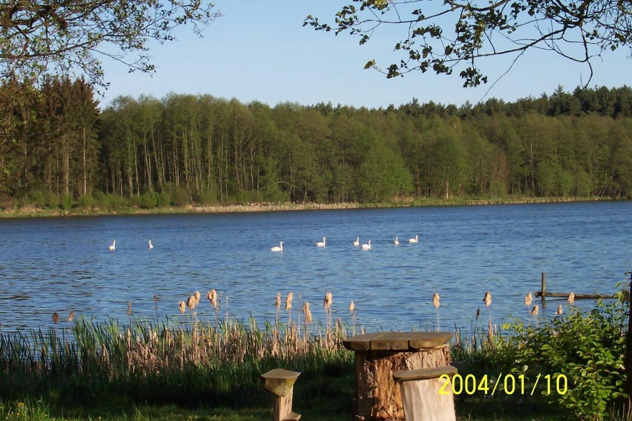 Agroturystyka Nad Jeziorem Sopien Brzozie Esterno foto